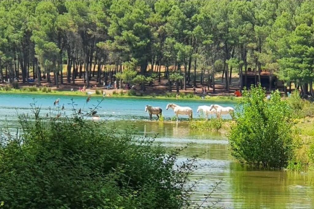 Willa Casa Junto Al Lago Jérica Zewnętrze zdjęcie