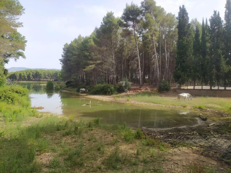 Willa Casa Junto Al Lago Jérica Zewnętrze zdjęcie